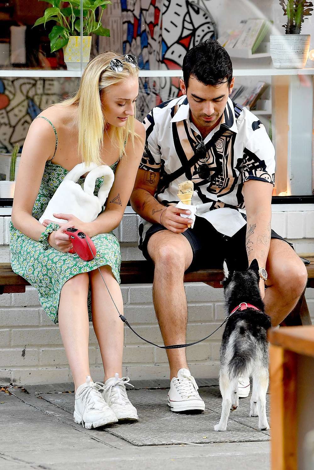 Sophie Turner taking Porky to McCarren Park in Brooklyn