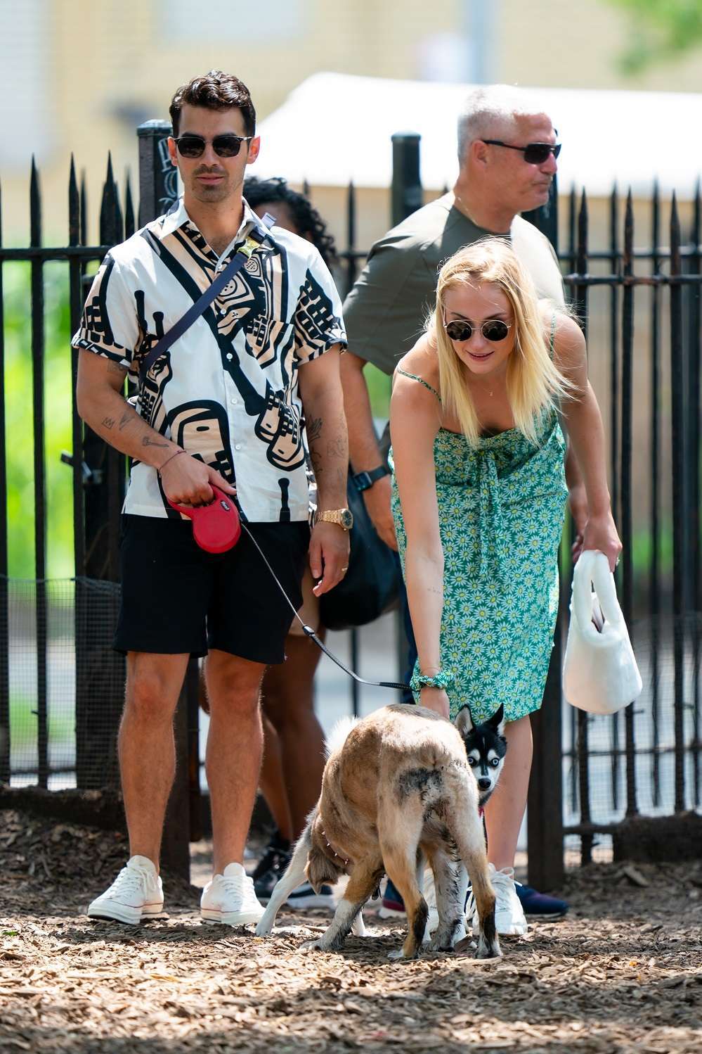 Sophie Turner taking Porky to McCarren Park in Brooklyn