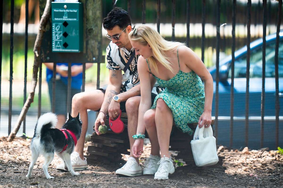 Sophie Turner taking Porky to McCarren Park in Brooklyn