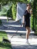 Ashley Tisdale Leggy, Walking her Dog in Los Angeles