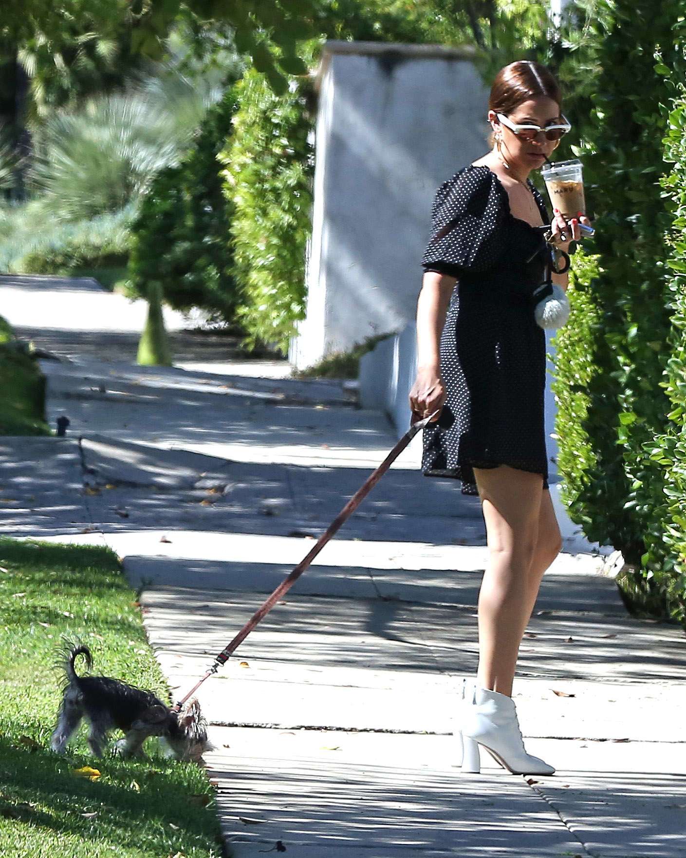 Ashley Tisdale Leggy, Walking her Dog in Los Angeles