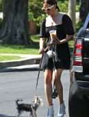 Ashley Tisdale Leggy, Walking her Dog in Los Angeles