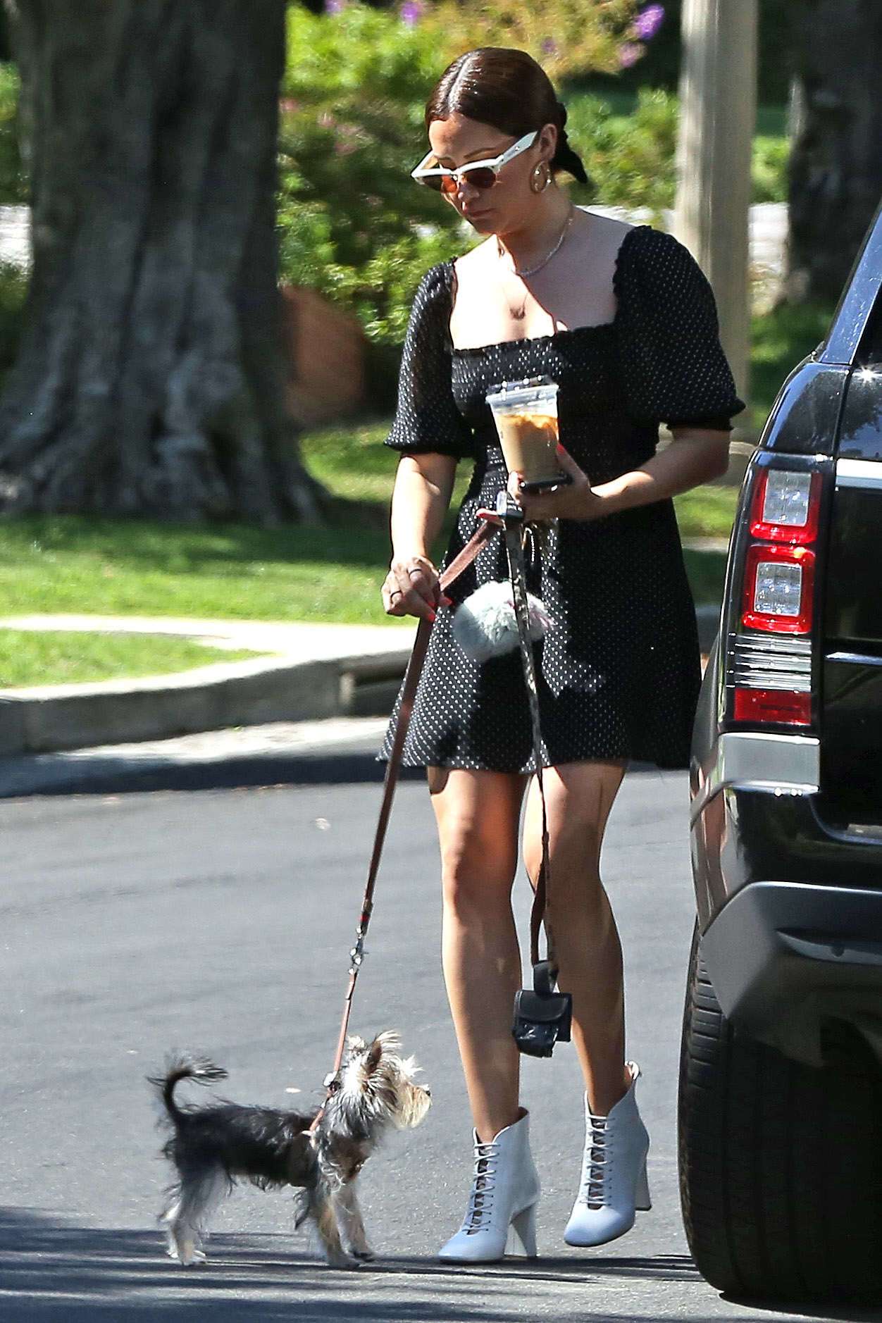 Ashley Tisdale Leggy, Walking her Dog in Los Angeles