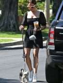 Ashley Tisdale Leggy, Walking her Dog in Los Angeles