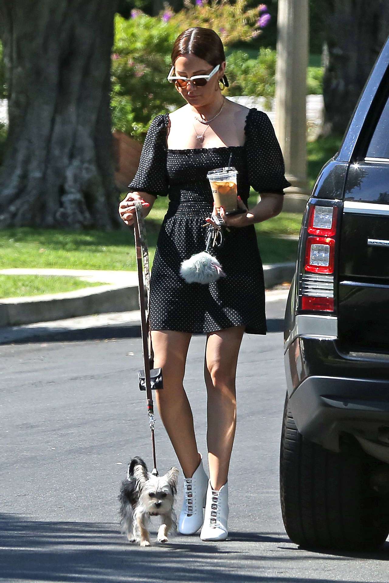 Ashley Tisdale Leggy, Walking her Dog in Los Angeles