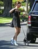Ashley Tisdale Leggy, Walking her Dog in Los Angeles