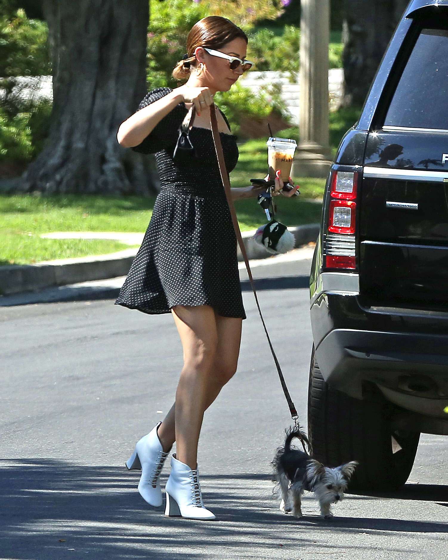 Ashley Tisdale Leggy, Walking her Dog in Los Angeles