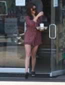 Nina Dobrev Leggy, Out in LA