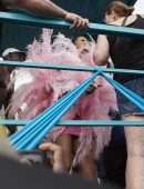 Rihanna in a Costume at Barbados Kadooment Day Parade