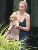 Sophie Turner in Bikini with Dog in Miami