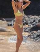 Nina Dobrev in Bikini at the Beach in Maui