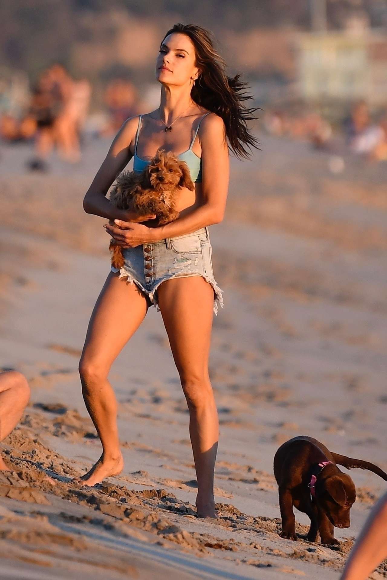 Alessandra Ambrosio Playing Volleyball in Santa Monica