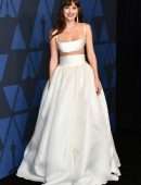 Dakota Johnson at 11th Annual Governors Awards in Hollywood
