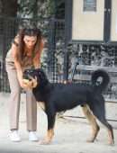 Emily Ratajkowski Playing Fetch with Dog in New York
