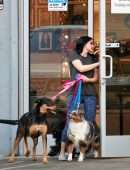 Ariel Winter Picks up her Dogs at a Salon in LA