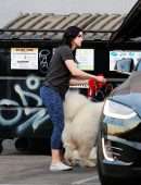 Ariel Winter Picks up her Dogs at a Salon in LA