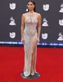 Roselyn Sanchez at 20th Annual Latin GRAMMY Awards in Las Vegas