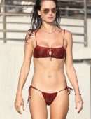 Alessandra Ambrosio in Bikini at a Happy Place in Malibu