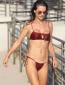 Alessandra Ambrosio in Bikini at a Happy Place in Malibu