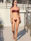 Alessandra Ambrosio in Bikini at a Happy Place in Malibu
