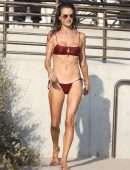 Alessandra Ambrosio in Bikini at a Happy Place in Malibu