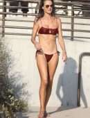 Alessandra Ambrosio in Bikini at a Happy Place in Malibu