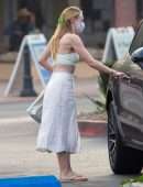 Dakota Fanning Pokies, Goes Out with Friends in Malibu