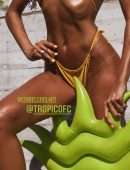Izabel Goulart in a Tiny Yellow Bikini