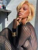 Jasmine Tookes in a Sheer Dress