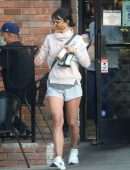 Jordana Brewster Leggy, Out and About in Los Angeles