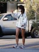 Jordana Brewster Leggy, Out in Brentwood, California