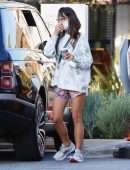Jordana Brewster Leggy, Out in Brentwood, California