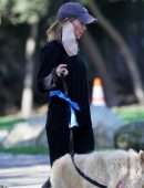 Renee Zellweger Booty, while Walking her Dogs in Santa Monica