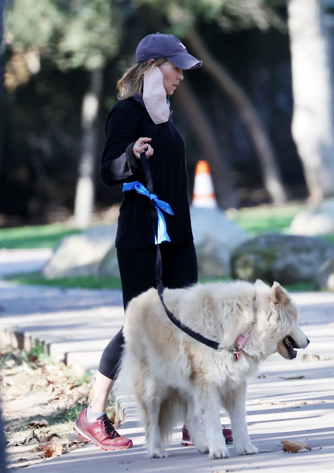 Renee Zellweger Booty, while Walking her Dogs in Santa Monica