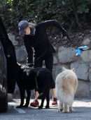 Renee Zellweger Booty, while Walking her Dogs in Santa Monica