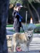 Renee Zellweger Booty, while Walking her Dogs in Santa Monica