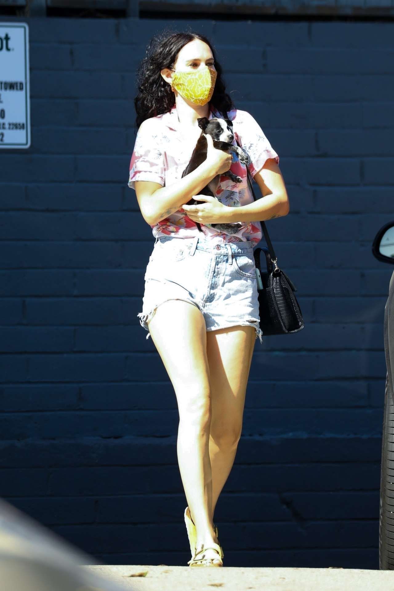 Rumer Willis Visiting Healthy Spot Pet Shop with her Puppy in Los Angeles