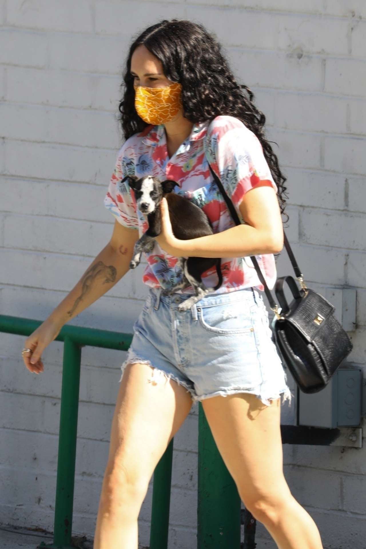 Rumer Willis Visiting Healthy Spot Pet Shop with her Puppy in Los Angeles