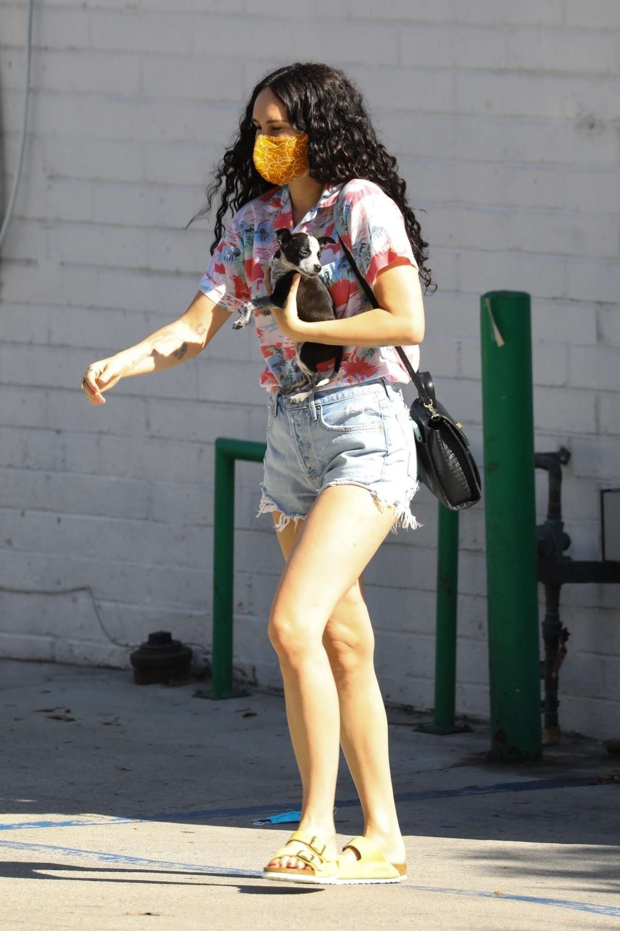 Rumer Willis Visiting Healthy Spot Pet Shop with her Puppy in Los Angeles