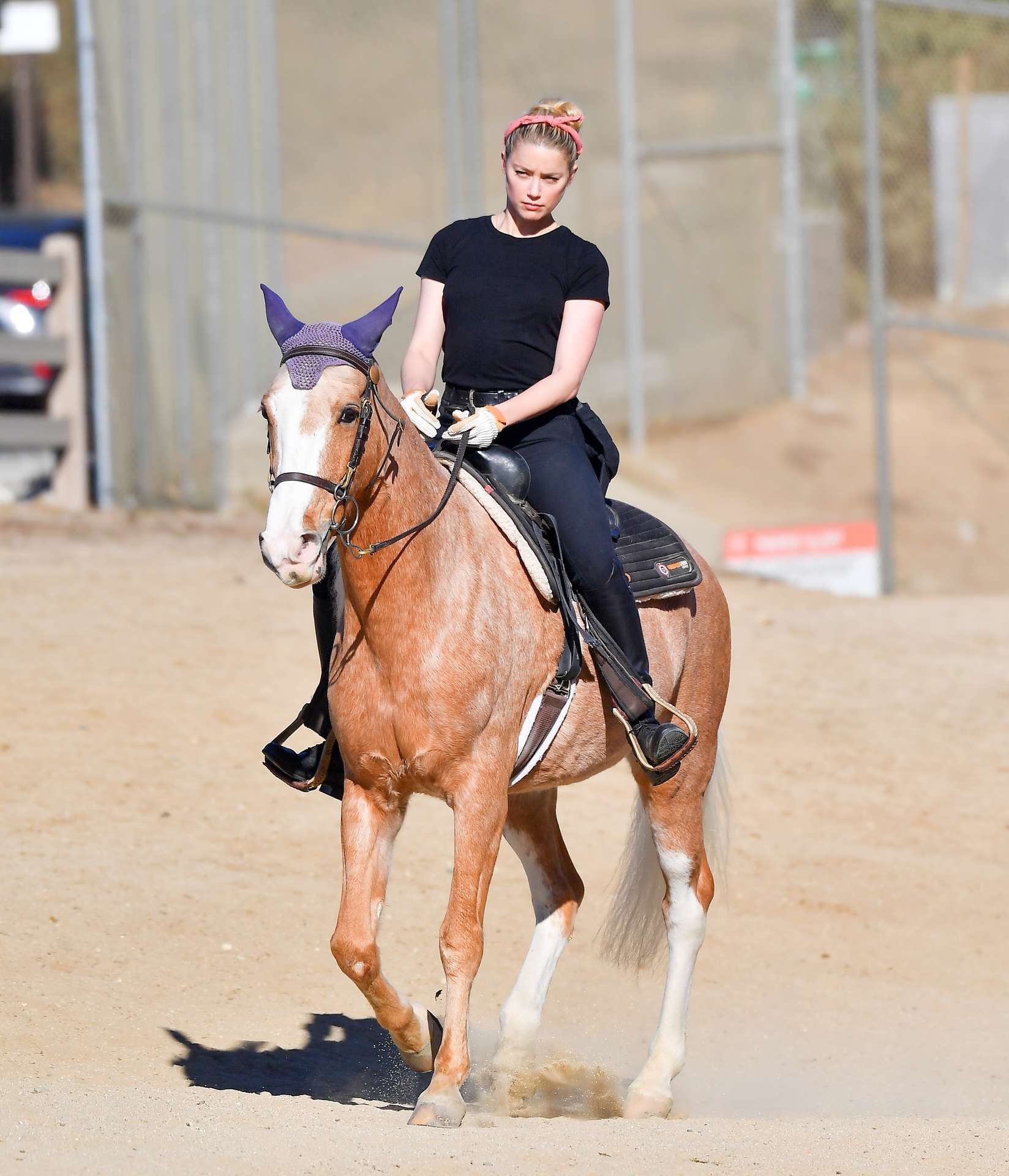 Amber Heard Booty, Horseback Riding in Los Angeles