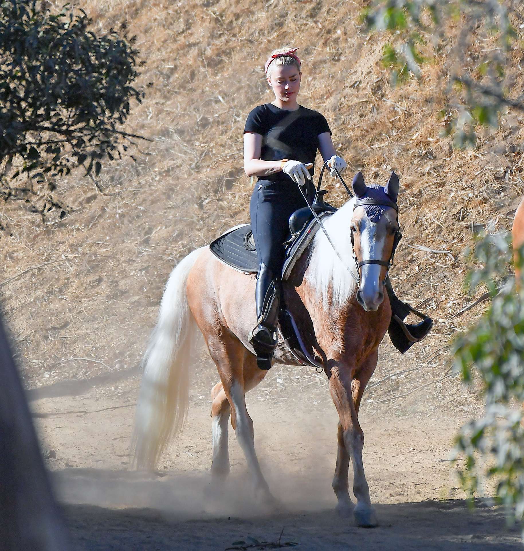 Amber Heard Booty, Horseback Riding in Los Angeles