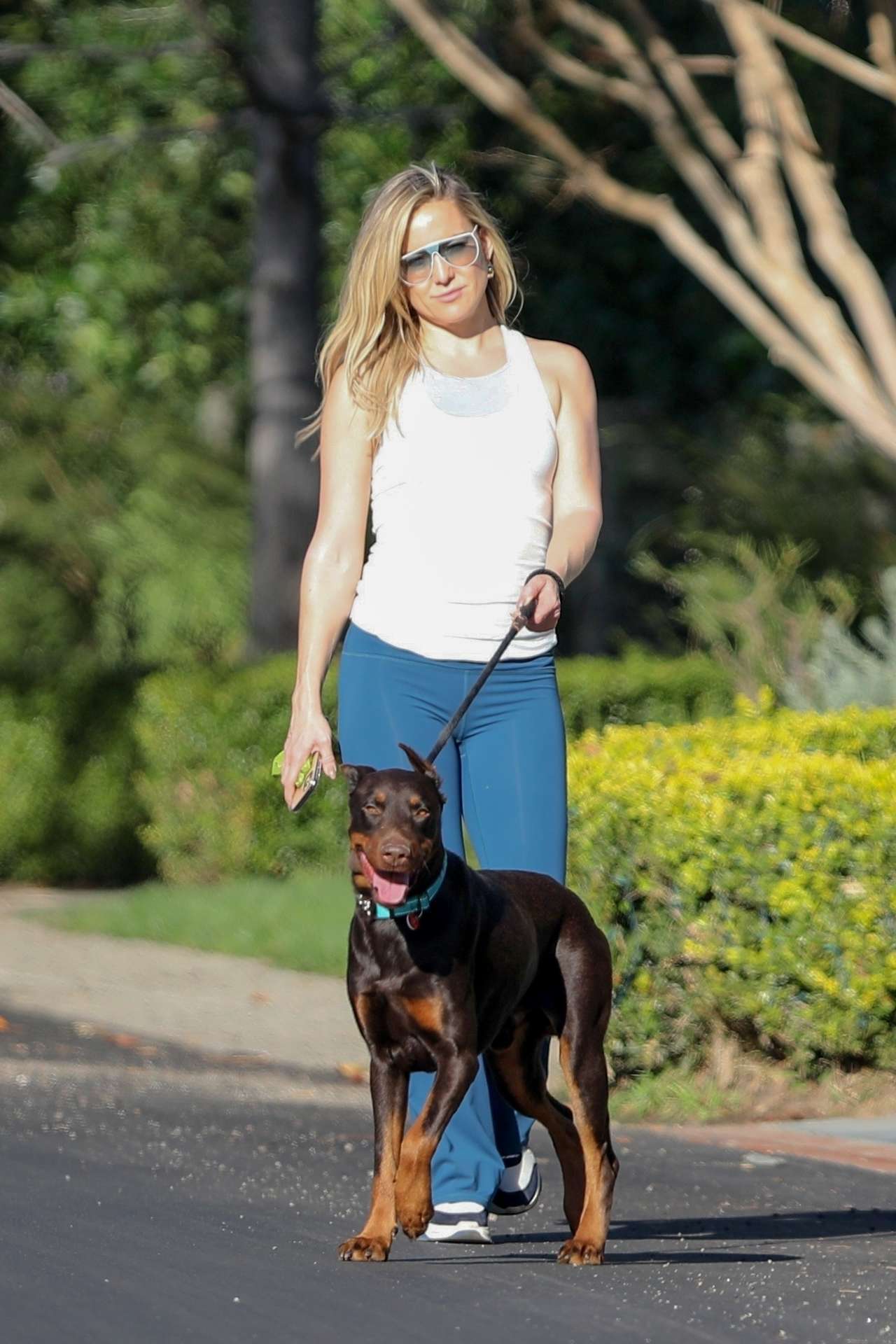 Kate Hudson Walking her Dog in Pacific Palisades