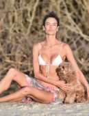 Alessandra Ambrosio Booty in a Tiny White Bikini with a Dog in Florianopolis