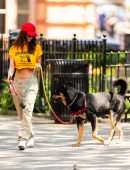 Emily Ratajkowski Flat Belly, Walking her Dog in NYC