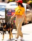 Emily Ratajkowski Flat Belly, Walking her Dog in NYC