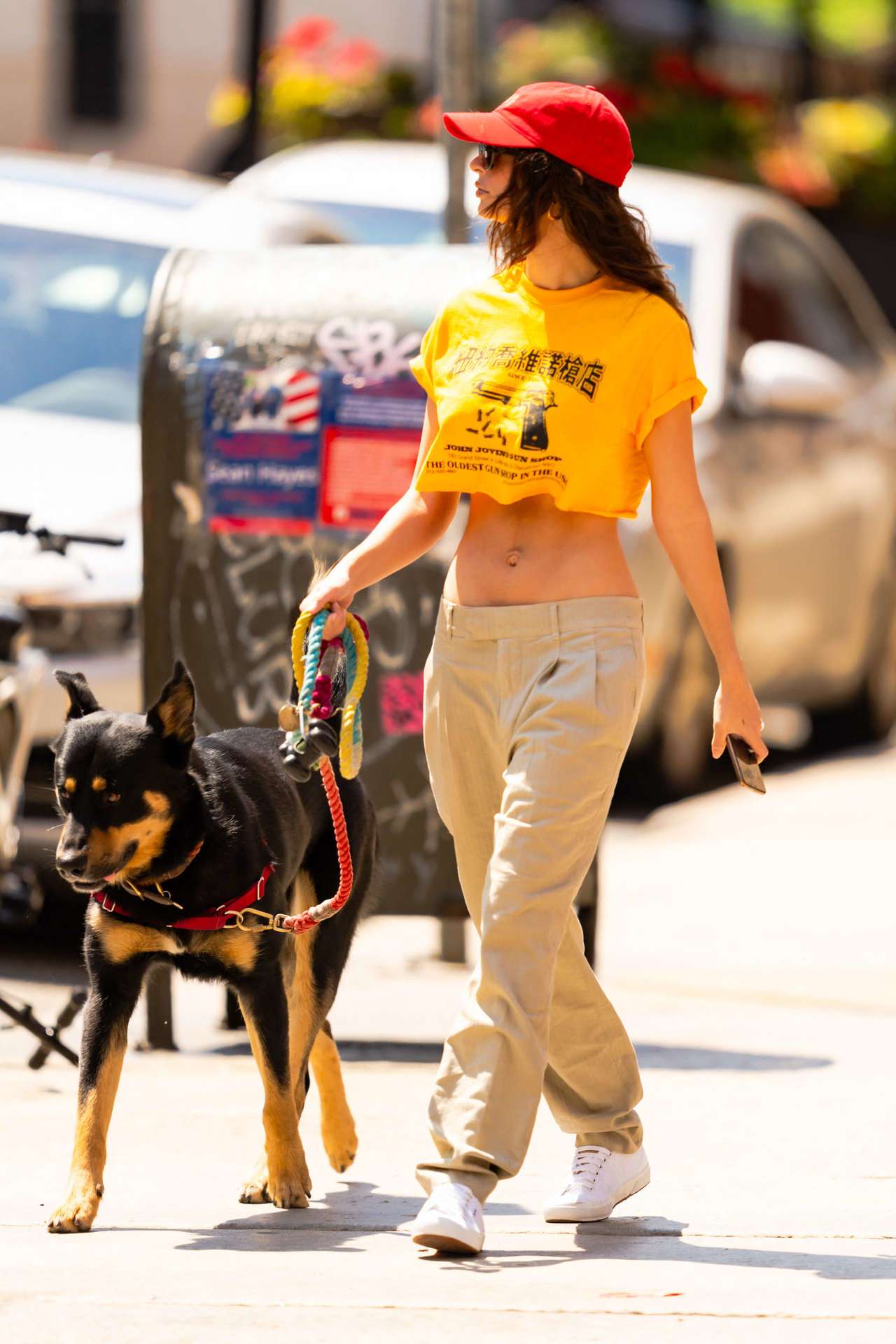 Emily Ratajkowski Flat Belly, Walking her Dog in NYC