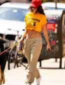 Emily Ratajkowski Flat Belly, Walking her Dog in NYC