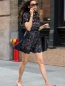 Famke Janssen Leggy, Out in NYC