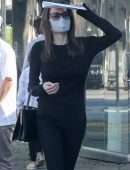 Angelina Jolie Pokies, Shopping at High-End Knoll Home Design Shop in West Hollywood