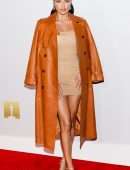 Adriana Lima Leggy at Academy Museum of Motion Pictures and Vanity Fair Premiere Party in LA